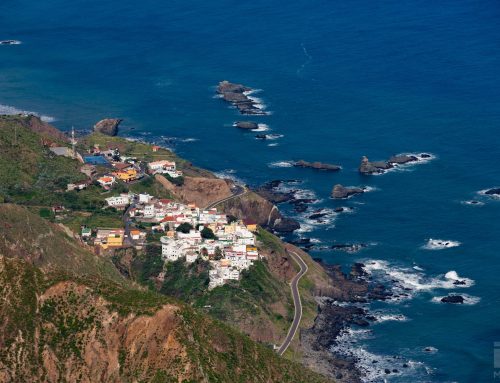 Tenerife, Canary Islands, Spain.