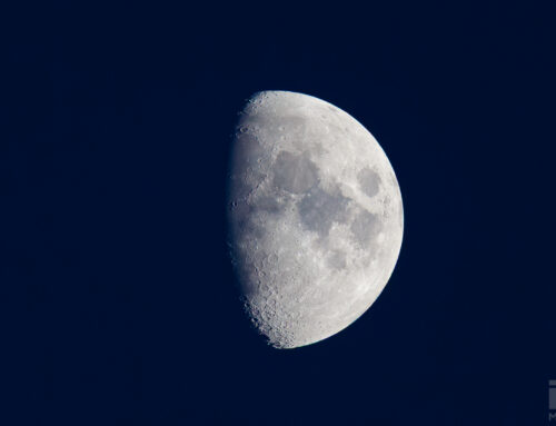 Moon